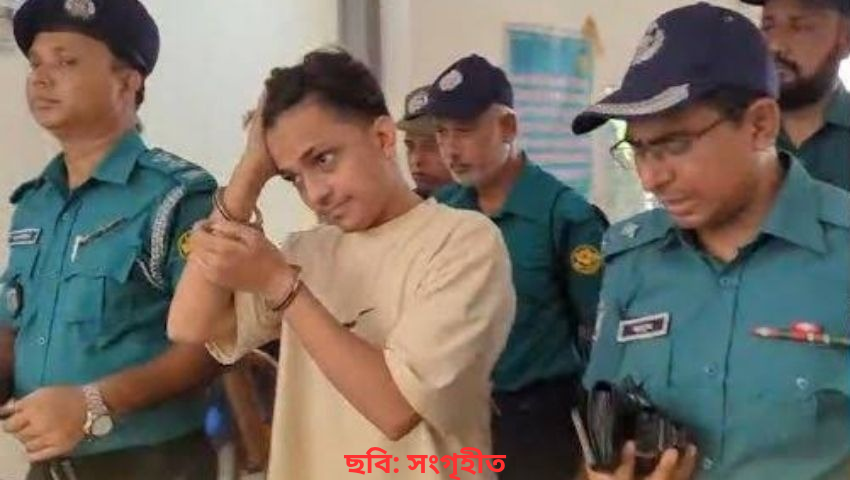 স্ত্রীর মামলায় টিকটকার প্রিন্স মামুনের জামিন