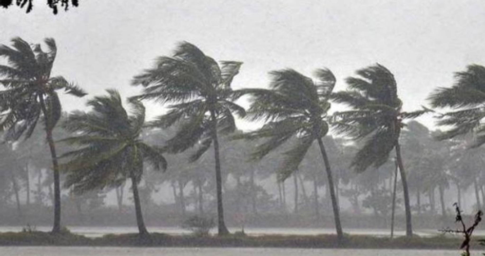 ঢাকাসহ ১৩ জেলায় দুপুরের মধ্যে বজ্রবৃষ্টির পূর্বাভাস